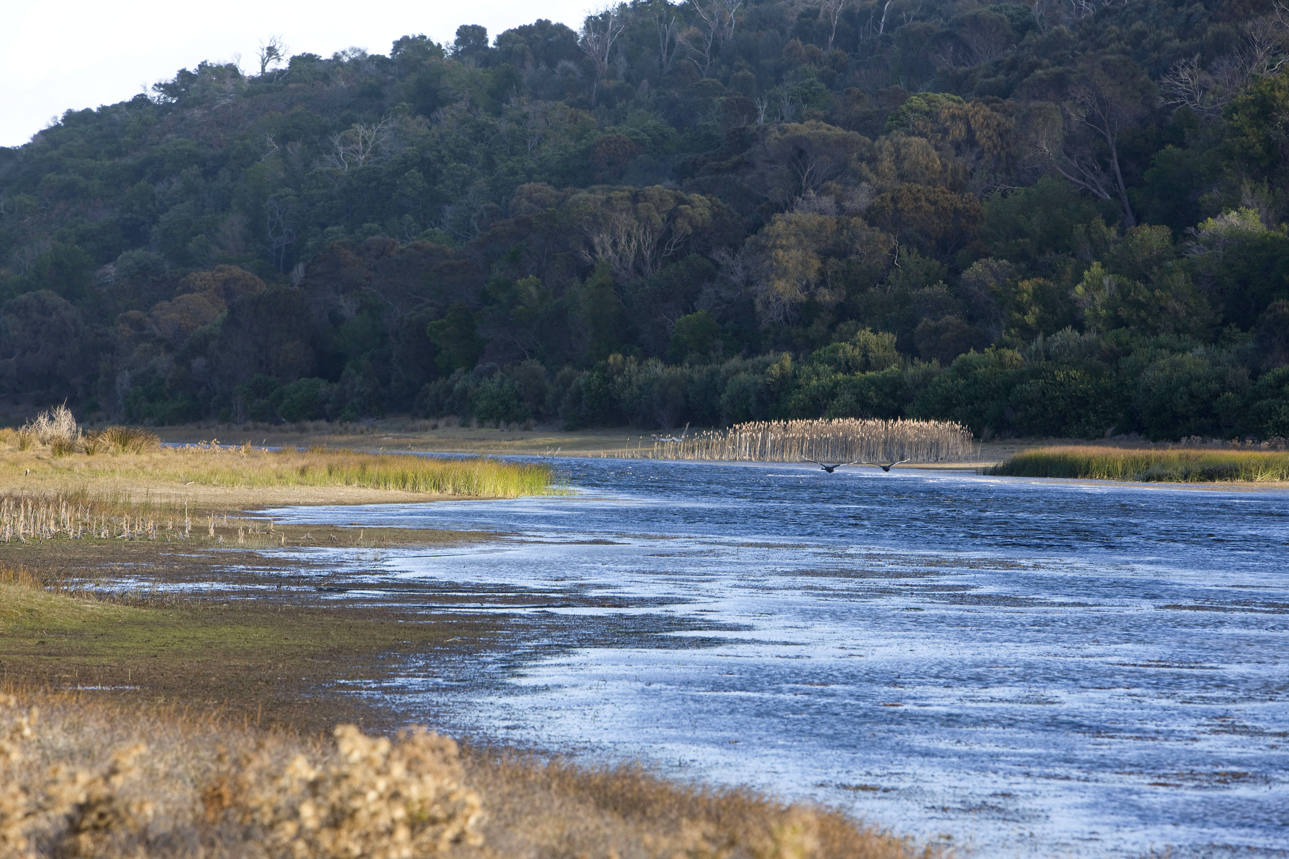 Little Waterhouse Lake, Tasmania